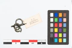 Foto von Bronzering (NHMW-PRAE-026495)